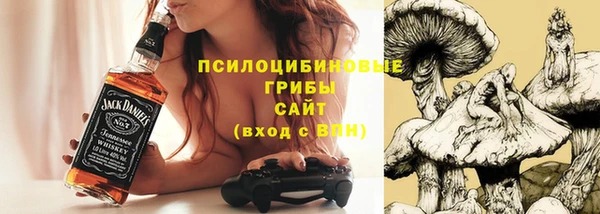 apvp Ступино