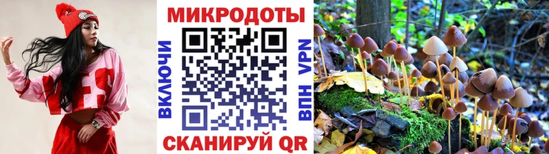 Псилоцибиновые грибы мицелий Верхотурье